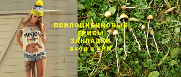 винт Белокуриха