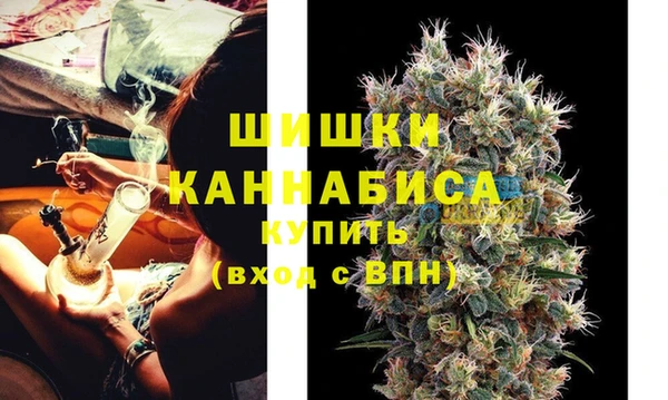 твердый Новосибирск