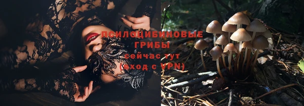 винт Белокуриха
