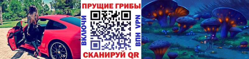 Псилоцибиновые грибы Psilocybine cubensis  Бузулук 
