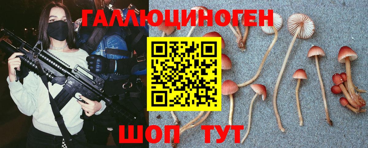 Галлюциногенные грибы MAGIC MUSHROOMS  Псилоцибиновые грибы прущие грибы  Вход с VPN  Бузулук 