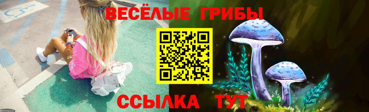 Галлюциногенные грибы GOLDEN TEACHER Бузулук